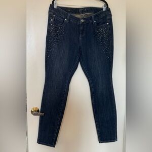 NWOT Torrid Premium Embellished Skinny Jeans in Size 12